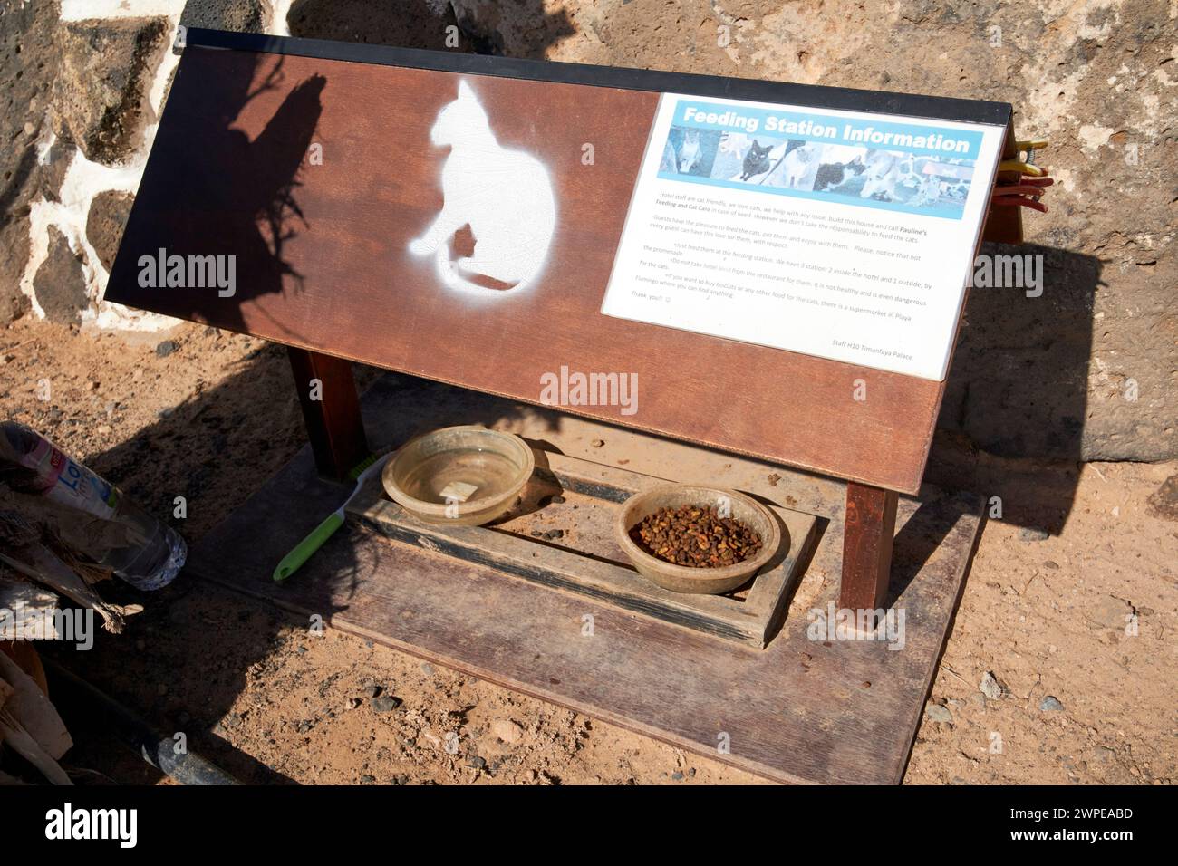 Katzenfütterungsstation des Hotels, die von der örtlichen Katzenkartei playa blanca, Lanzarote, Kanarischen Inseln, spanien, verwaltet wird Stockfoto