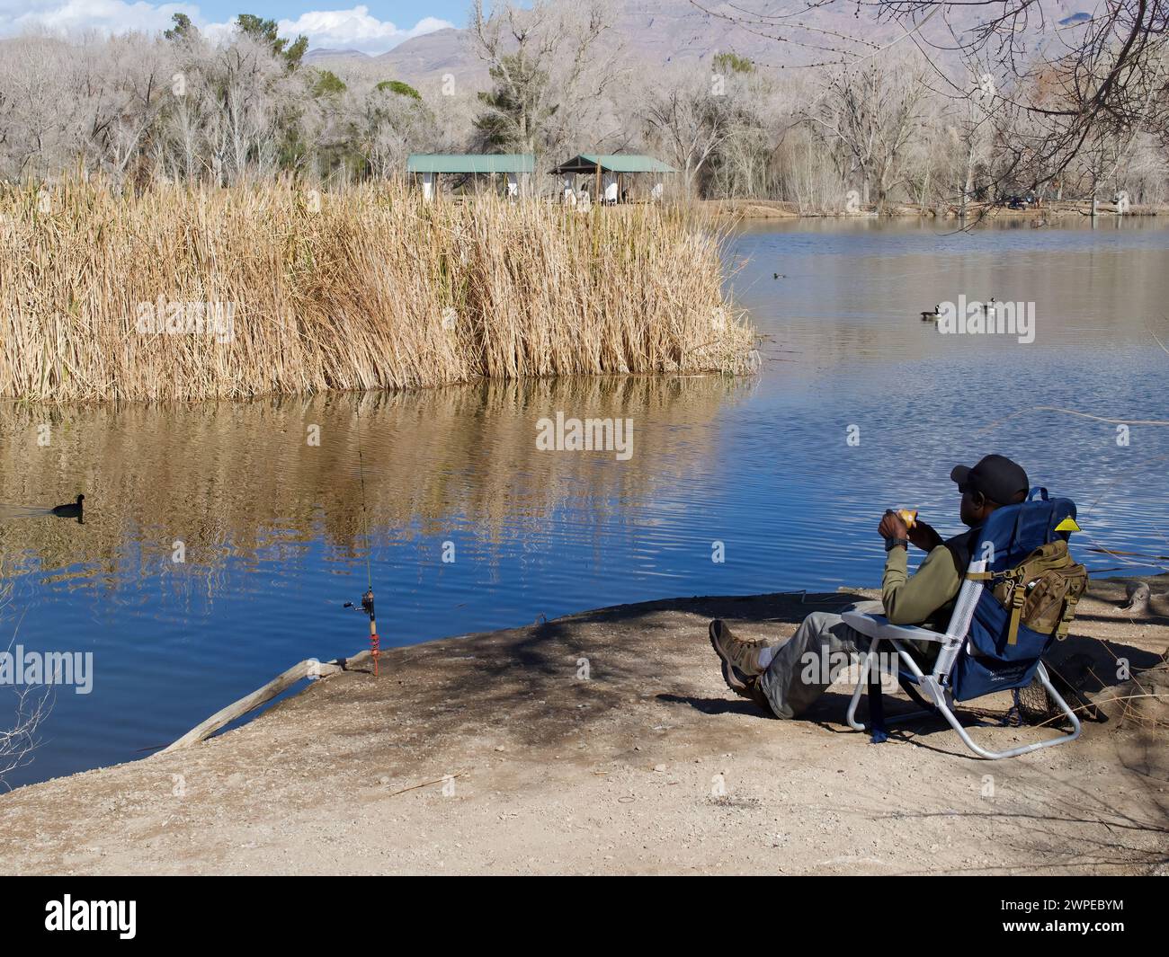 Angeln auf einem von Quellen gespeisten See im Floyd Lamb Park, Las Vegas, Nevada. Dieser Stadtpark ist eine Oase in der Mojave-Wüste. Nr. 2 Stockfoto
