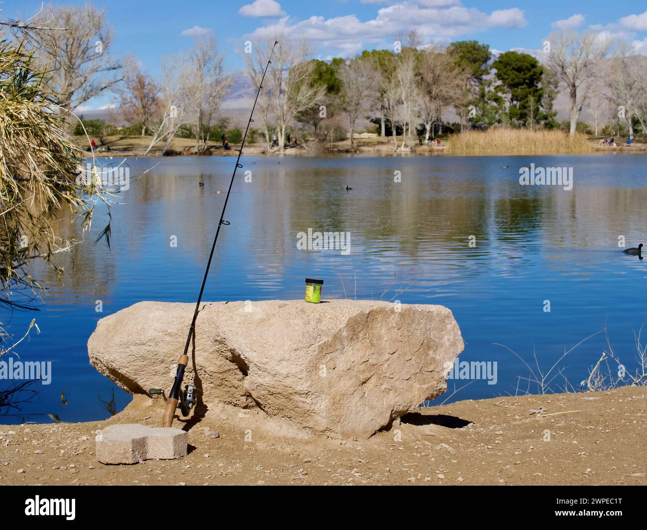 Angeln auf einem von Quellen gespeisten See im Floyd Lamb Park, Las Vegas, Nevada. Dieser Stadtpark ist eine Oase in der Mojave-Wüste. Nr. 1 Stockfoto