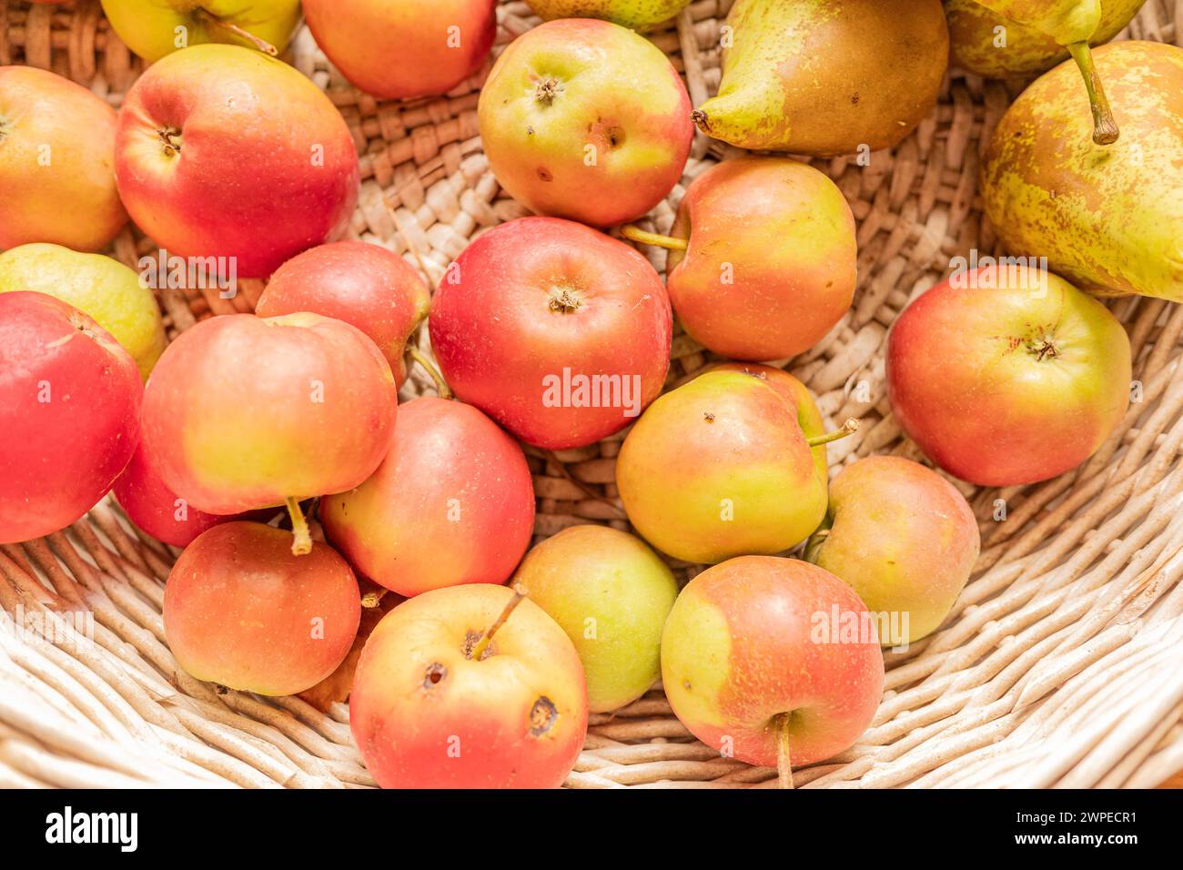Rote Äpfel aus biologischem Anbau in einem Korb, Blick von oben Stockfoto