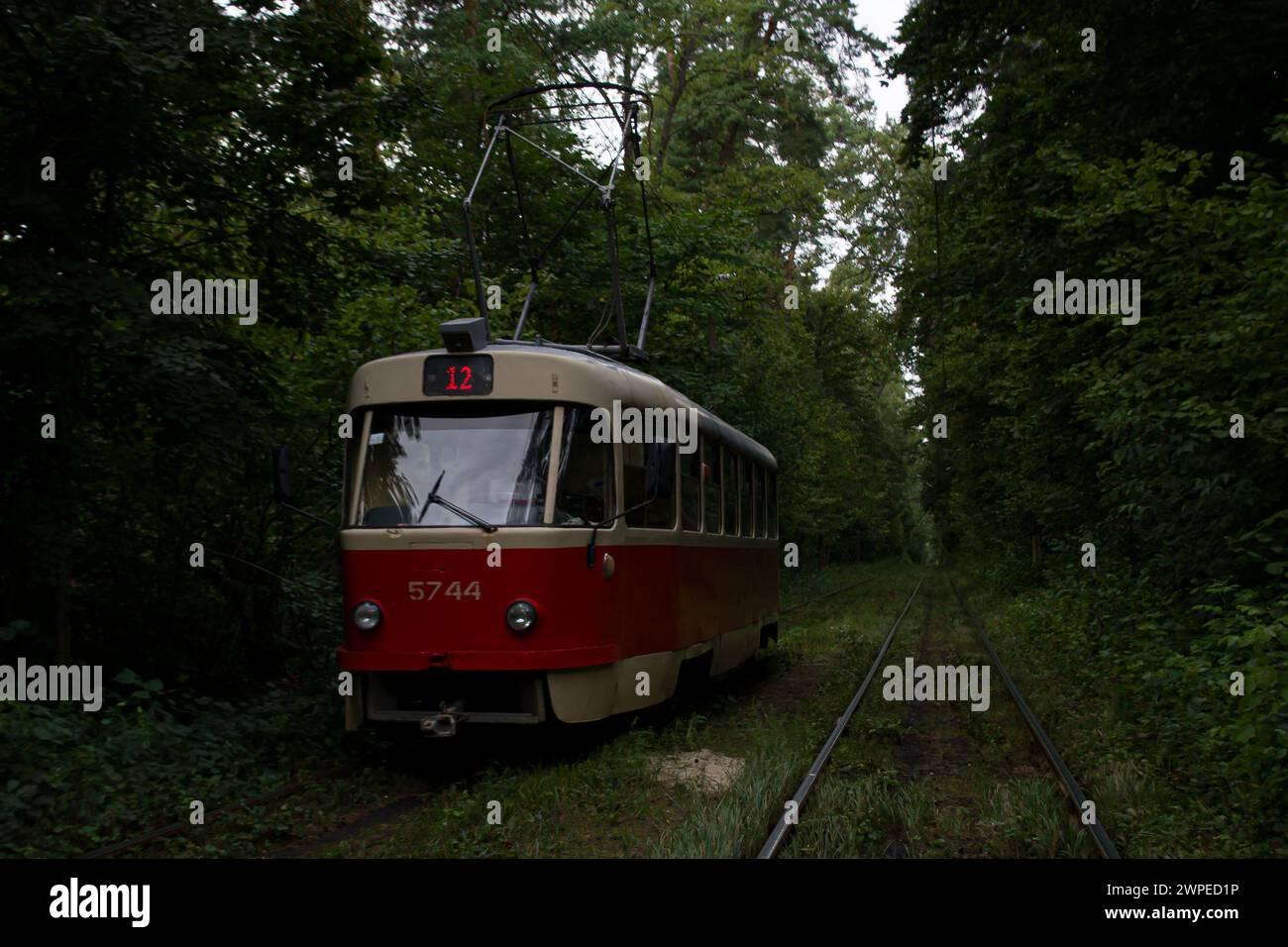 Eine Straßenbahn auf einer Linie, die ihren Weg durch den Wald in der Nähe von Kiew macht Stockfoto