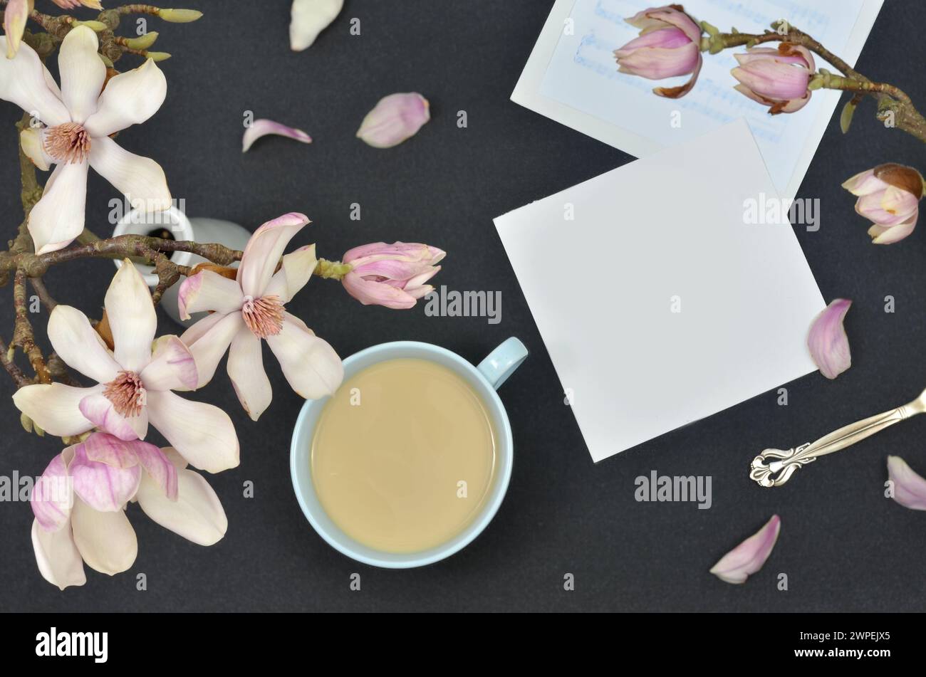 Magnolienblüten und weißes Blatt Papier zum Füllen, Kaffee mit Milch, Noten, dunkler Hintergrund, flache Lagen. Stockfoto