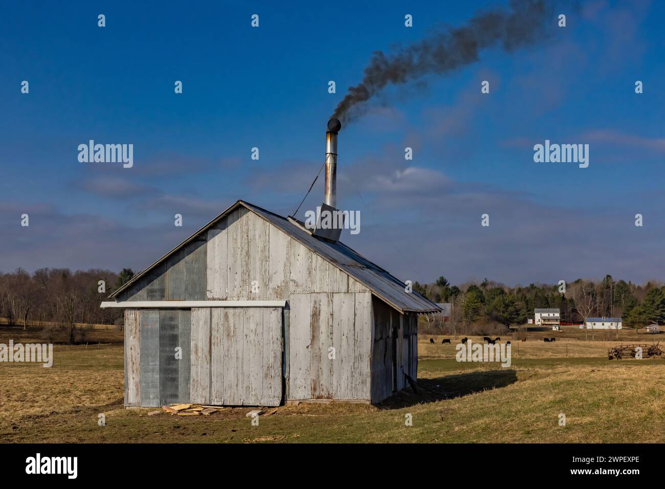 Holzbefeuertes sugarhouse, das Ahornsirup auf einer Amischen Farm in Michigan, USA herstellt [keine Freigabe der Immobilie; nur redaktionelle Lizenzierung] Stockfoto