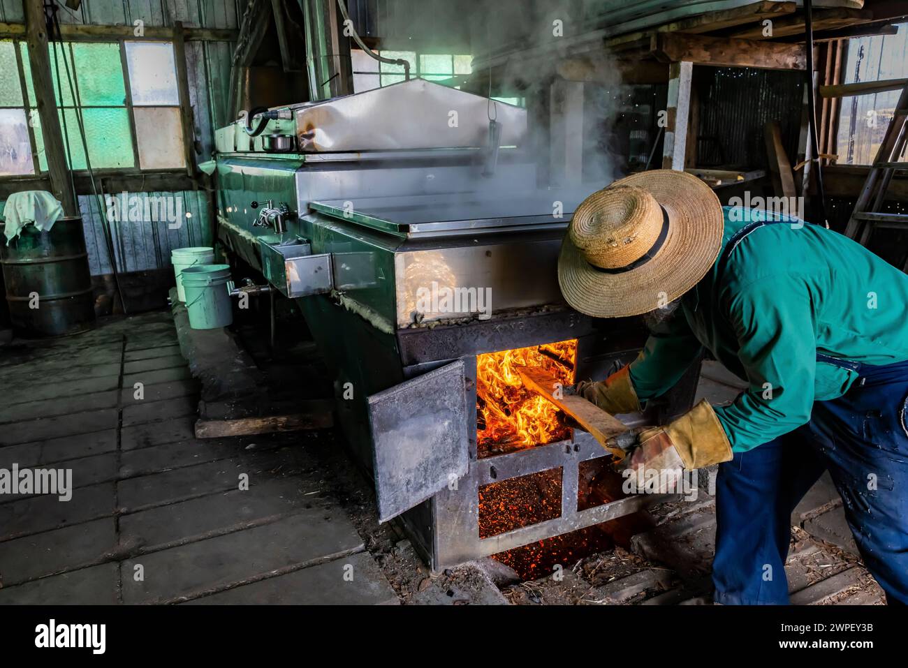 Brennkammer unter Verdampfer mit Holz in sugarhouse, Verarbeitung von ahornsaft zu Sirup auf einer Amischen Farm in Michigan, USA [keine Modellfreigabe; editori Stockfoto