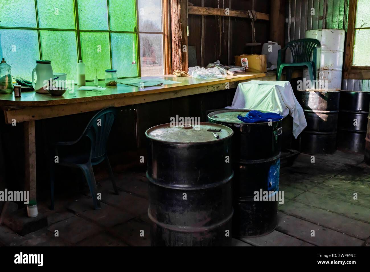 Fertiger Ahornsirup wird in 55-Gallonen-Fässern von einer Amish-Farm in Michigan, USA, vertrieben [keine Freigabe des Grundstücks; nur redaktionelle Lizenzierung] Stockfoto