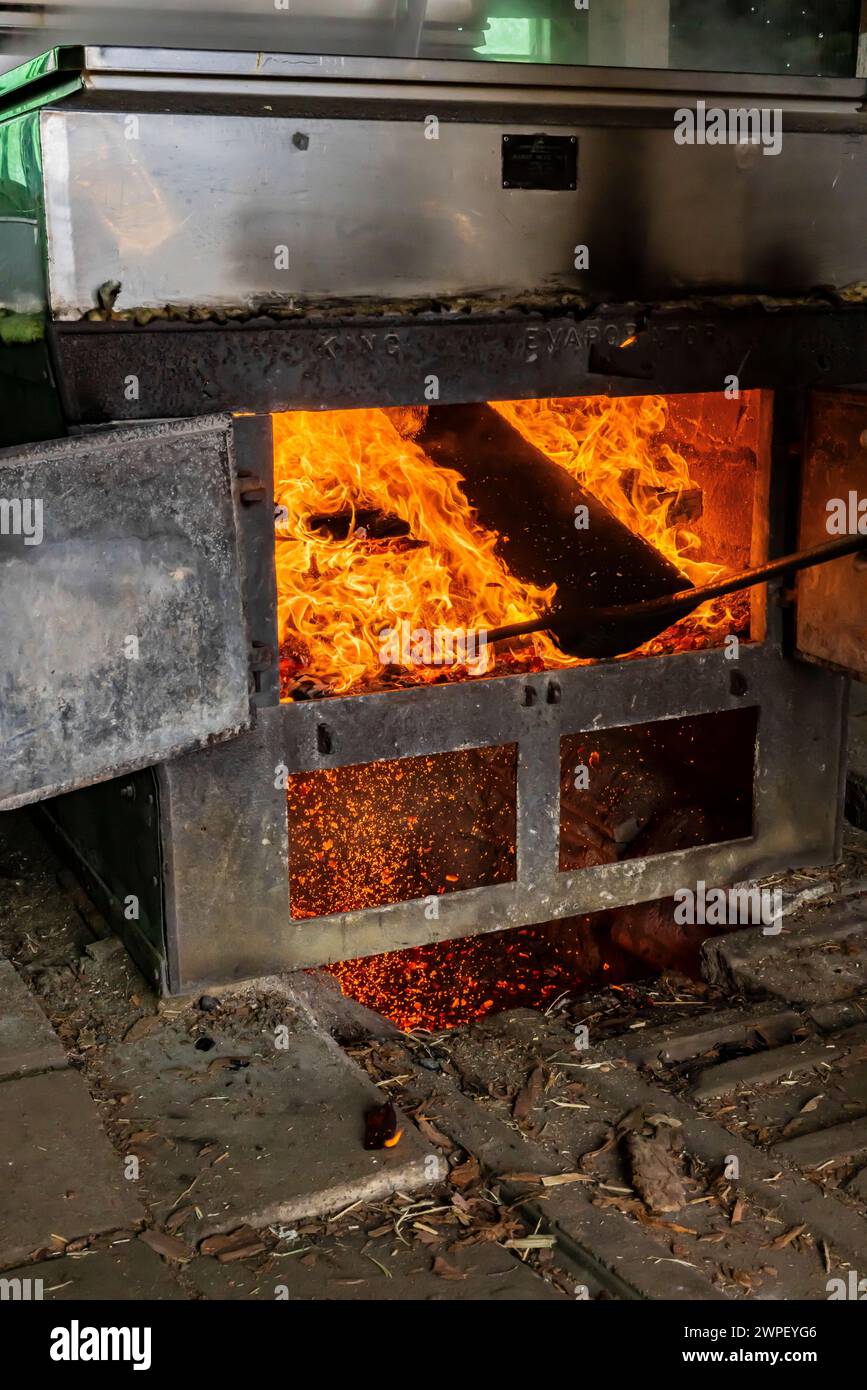 Brennkammer unter Verdampfer mit Holz in sugarhouse, Verarbeitung von ahornsaft zu Sirup auf einer Amischen Farm in Michigan, USA [keine Freigabe des Eigentums; bearbeiten Stockfoto