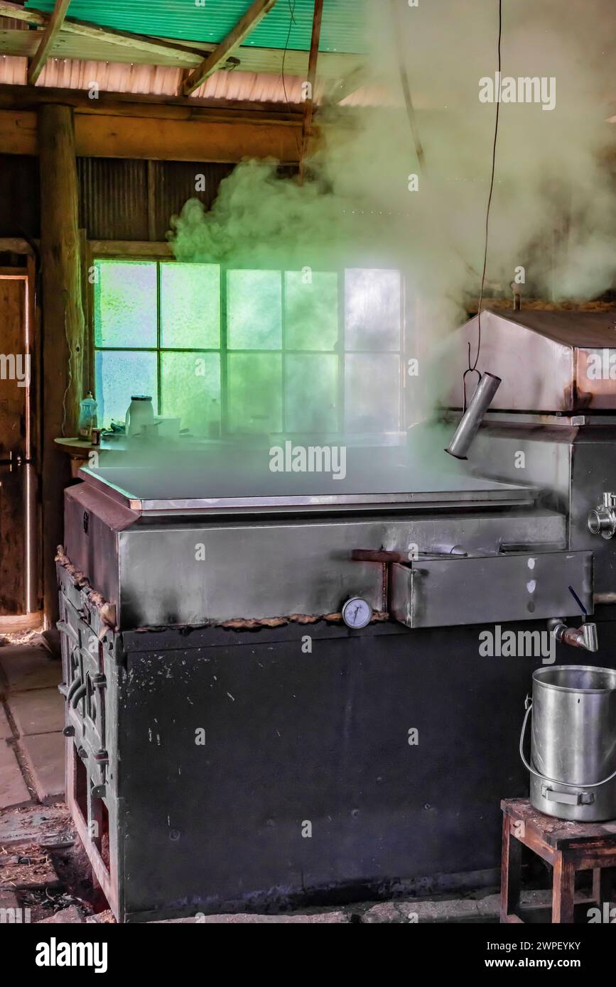 Verdampfer in sugarhouse, der ahornsaft zu Sirup auf einer Amischen Farm in Michigan, USA verarbeitet [keine Freigabe der Immobilie; nur redaktionelle Lizenzierung] Stockfoto