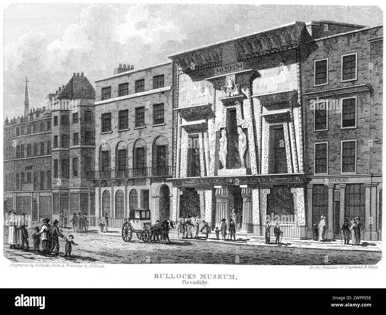 Ein Kupferstich mit dem Titel Bullocks Museum, Piccadilly, London UK, gescannt in hoher Auflösung aus einem Buch, das um 1815 veröffentlicht wurde. Stockfoto