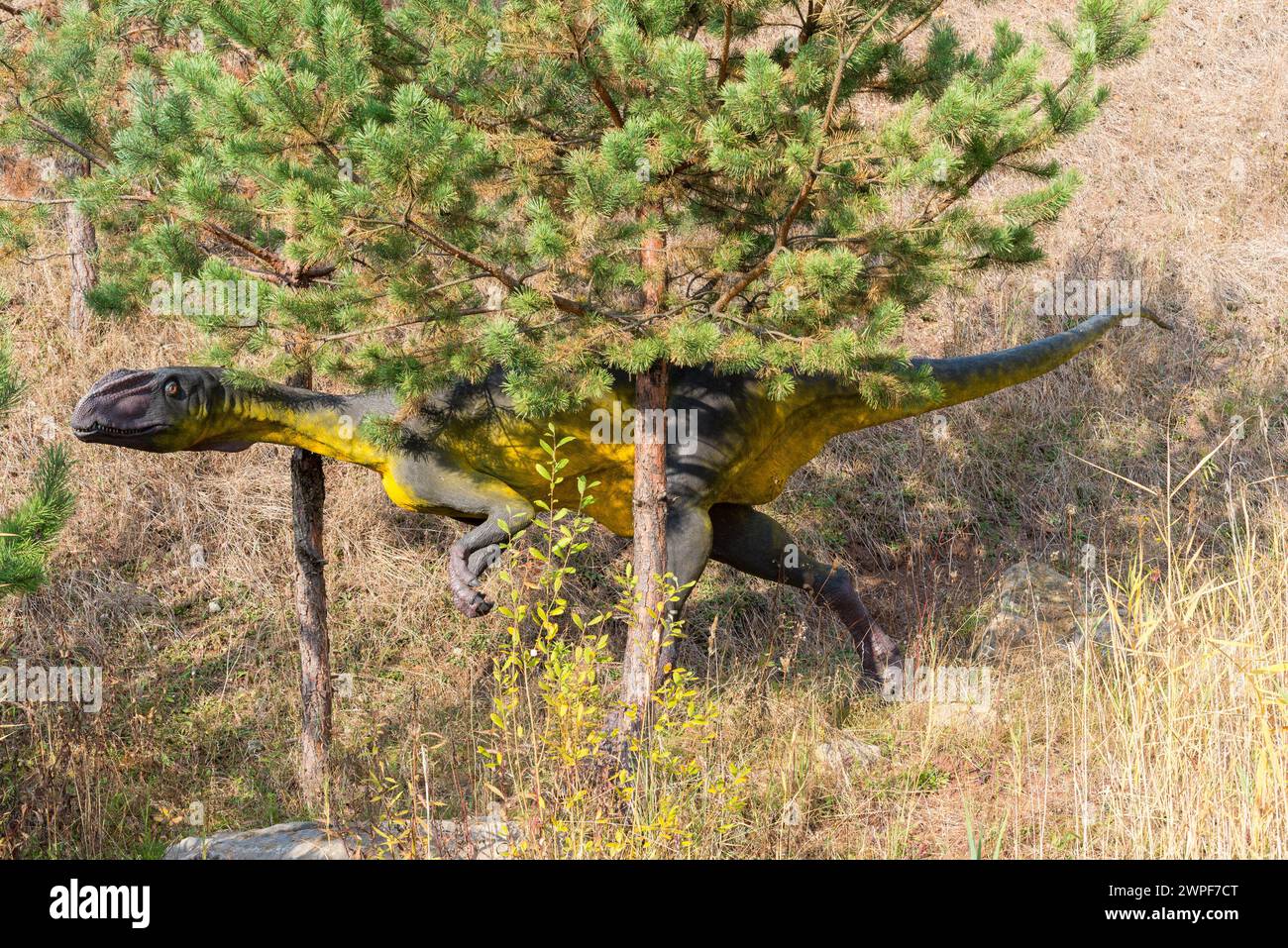 Dinosaurierpark in Krasiejów. Der größte Jurassic Park in Polen und sogar in Europa. Opole, Polen, 2018 Stockfoto