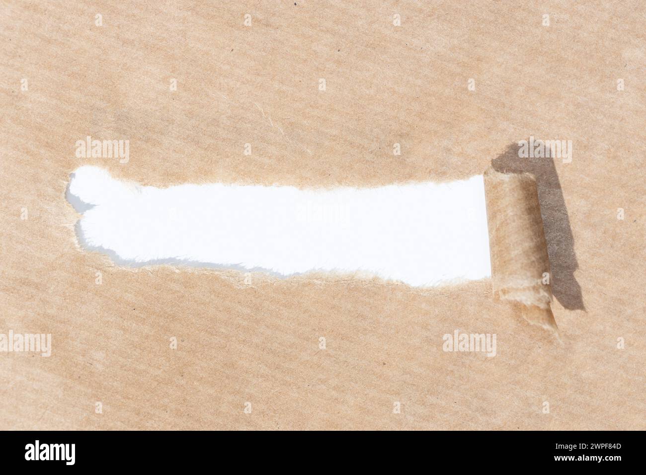 Braunes Papier mit gerissenem Streifen und weißem Papierhintergrund zum Einfügen von Text. Vorlagenmodell Stockfoto