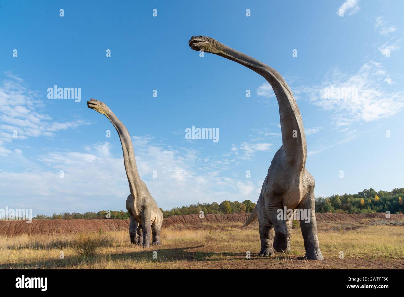 Dinosaurierpark in Krasiejów. Der größte Jurassic Park in Polen und sogar in Europa. Opole, Polen, 2018 Stockfoto