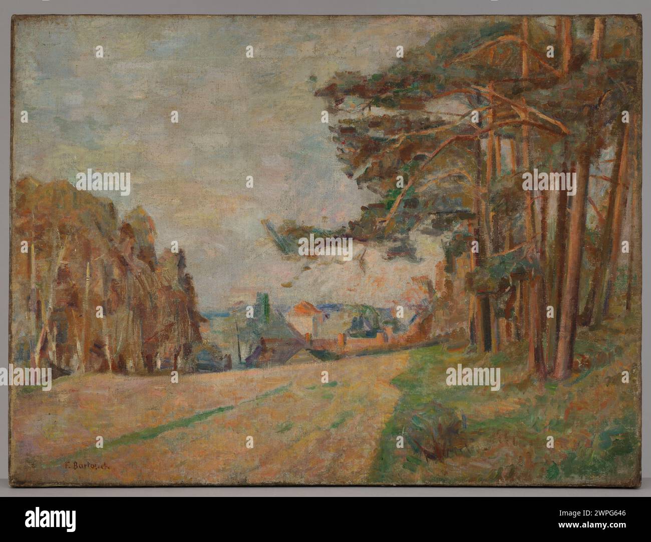 Landschaftsgemälde von Franciszek Bartoszek, die einen Kiefernwald vor 1943 zeigt, mit natürlichen Landschaften mit Bäumen, Himmel und Gelände in realistischem Stil. Stockfoto