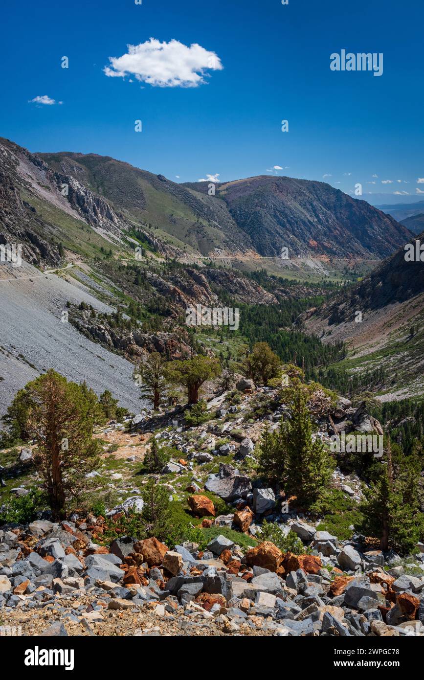 Wunderschöne alpine Landschaft am malerischen Tioga Pass, Kalifornien, USA. Stockfoto