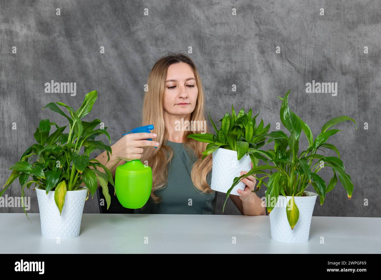 Junges Mädchen mit blondem Haar, das grüne Pflanzen pflegt, mit einem Sprinkler am Tisch Stockfoto