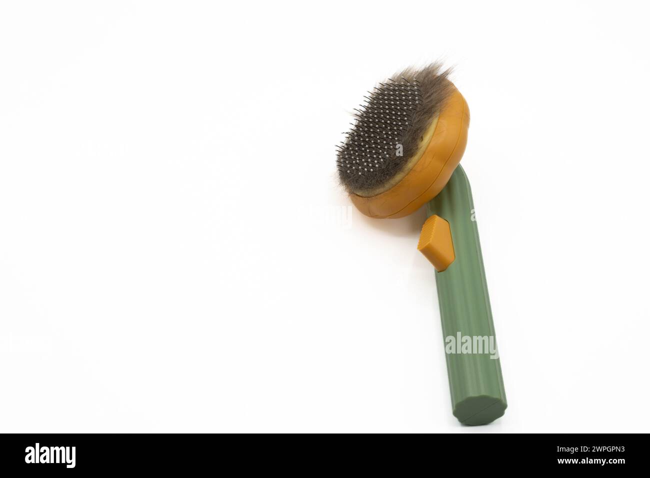 Katzenhaarbürste mit Katzenhaar drauf. Katzenfell klebt an der Bürste Stockfoto