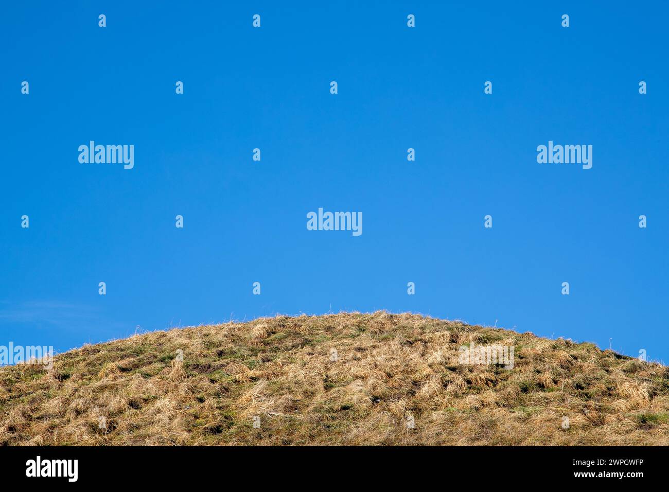 Grasbewachsener Hügel und blauer Himmel mit Platz für Text. Keine sichtbaren Personen. Stockfoto