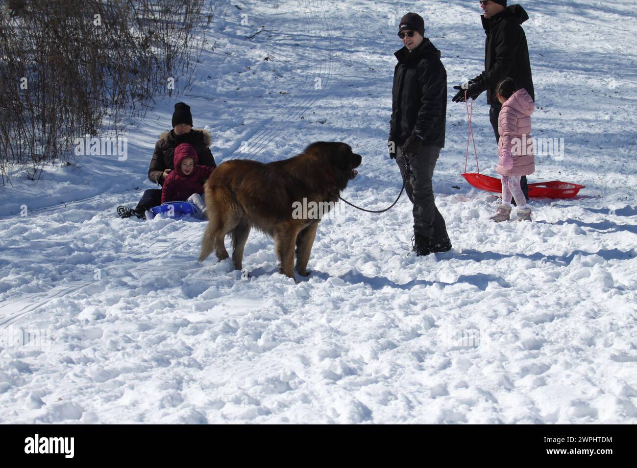 Schlittenfahrt durch das erste Loch des Norman K. Probstien Golfplatzes in Forest Park-St. Louis, Missouri, USA. Stockfoto