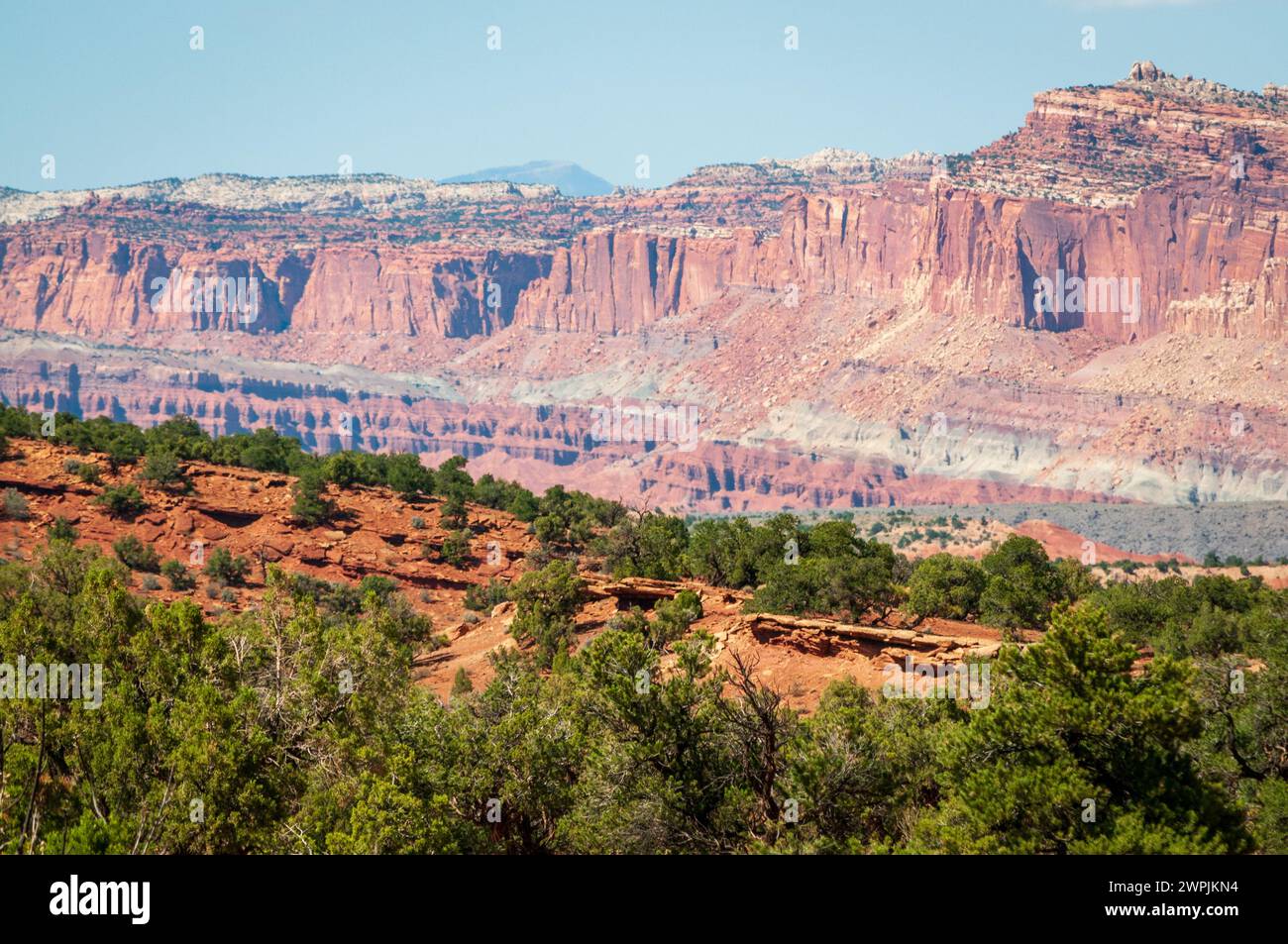 Farbenfrohe Erdschichten in der Colorado Plateau Physiographic Province im Capitol Reef National Park in Utah, USA Stockfoto