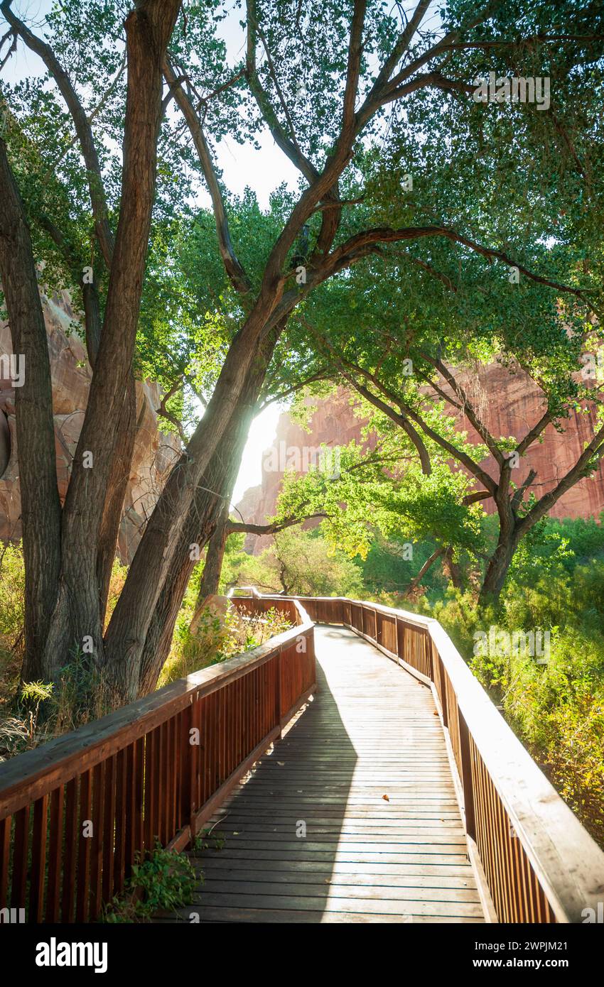 Boardwalk Trail im Capitol Reef National Park in Utah, USA Stockfoto