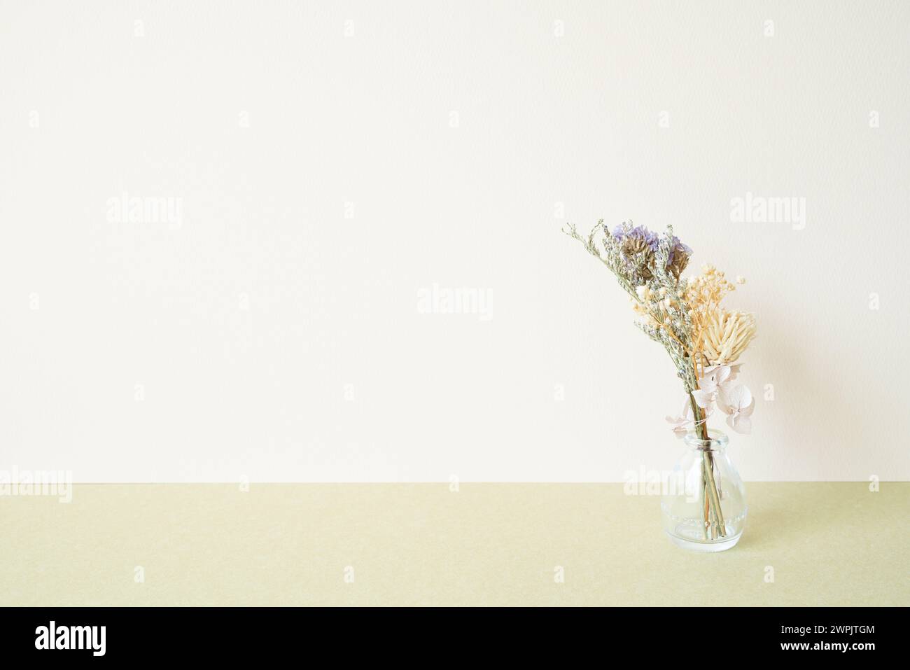 Glasvase mit trockener Blume auf dem Tisch. Weißer elfenbeinfarbener Hintergrund Stockfoto