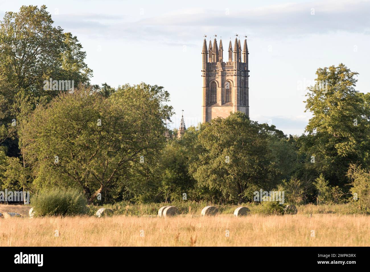 UK, Oxfordshire, Oxford, Blick in Richtung Magdalen College von Christ Church Meadow. Stockfoto