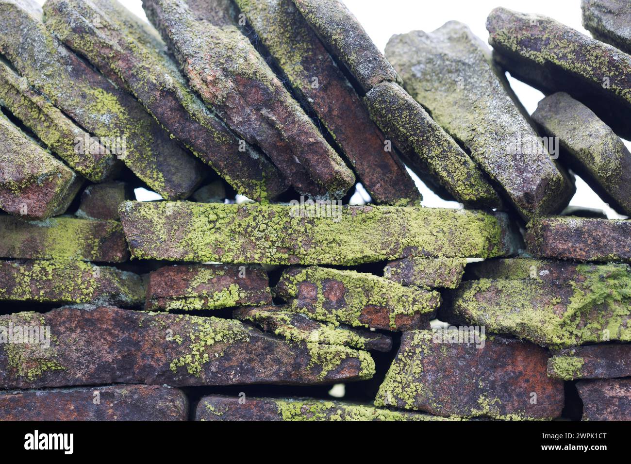 UK, Derbyshire, Dovedale, Moosbedeckte Trockenmauer. Stockfoto