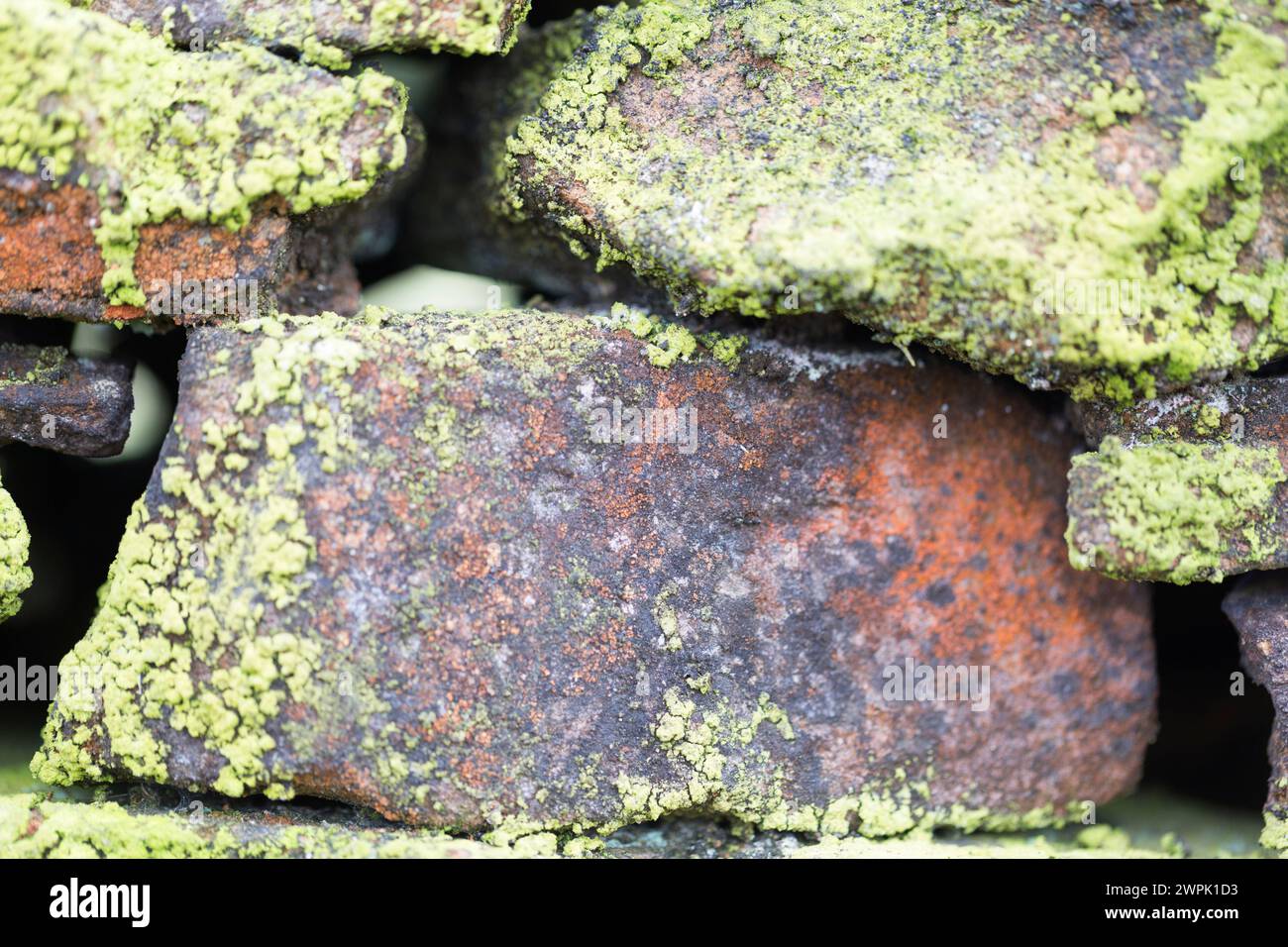 UK, Derbyshire, Dovedale, Moosbedeckte Trockenmauer. Stockfoto