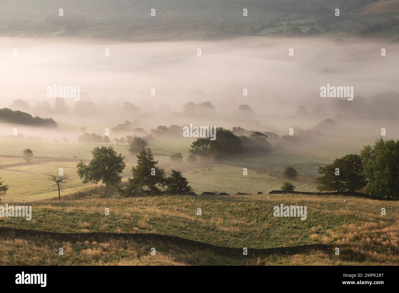 Großbritannien, West Yorkshire, Ausblicke entlang des Pennine Way von Edale nach Barber Booth mit Morgennebel. Stockfoto