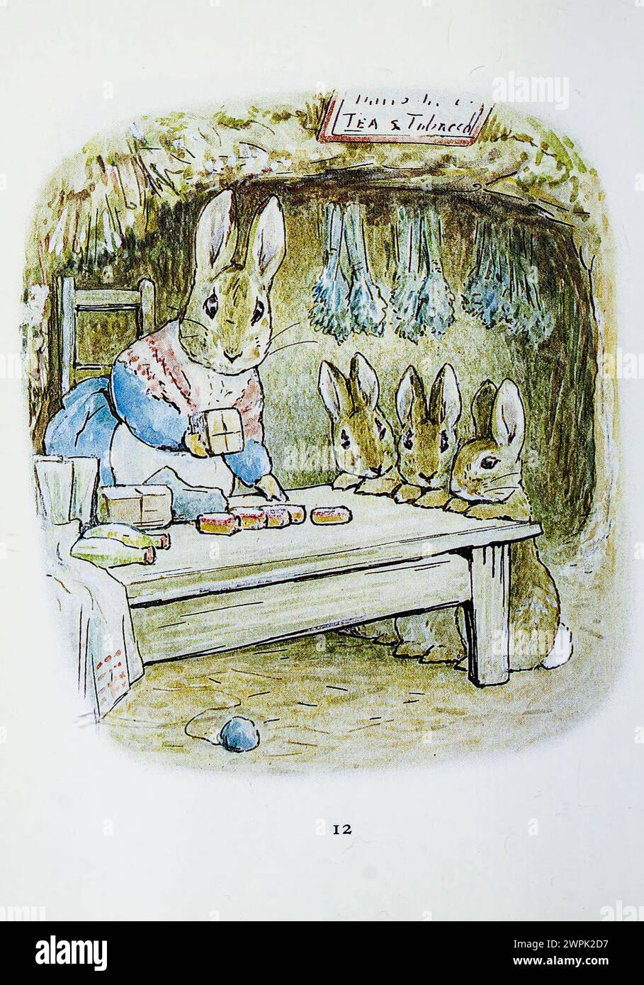 The Tale of Benjamin Bunny ist ein Kinderbuch von Beatrix Potter, das erstmals im September 1904 von Frederick warne & Co. Veröffentlicht wurde. Das Buch ist eine Fortsetzung der Geschichte von Peter Rabbit (1902) und erzählt von Peters Rückkehr in Mr. McGregors Garten mit seinem Cousin Benjamin, um die Kleidung zu holen, die er dort während seines vorherigen Abenteuers verloren hat. Stockfoto