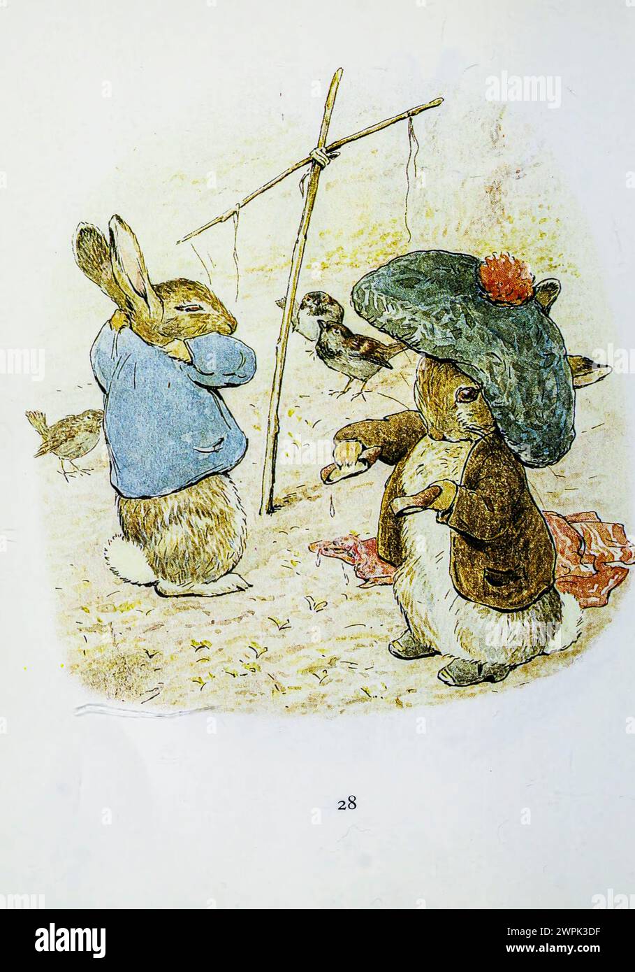 The Tale of Benjamin Bunny ist ein Kinderbuch von Beatrix Potter, das erstmals im September 1904 von Frederick warne & Co. Veröffentlicht wurde. Das Buch ist eine Fortsetzung der Geschichte von Peter Rabbit (1902) und erzählt von Peters Rückkehr in Mr. McGregors Garten mit seinem Cousin Benjamin, um die Kleidung zu holen, die er dort während seines vorherigen Abenteuers verloren hat. Stockfoto