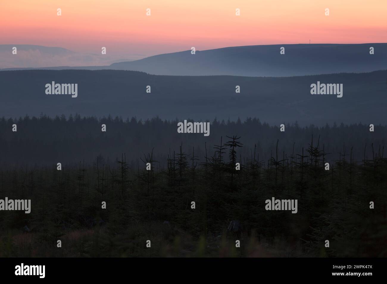 Großbritannien, Northumberland, nebliger Sonnenaufgang über Dalby forrest. Stockfoto