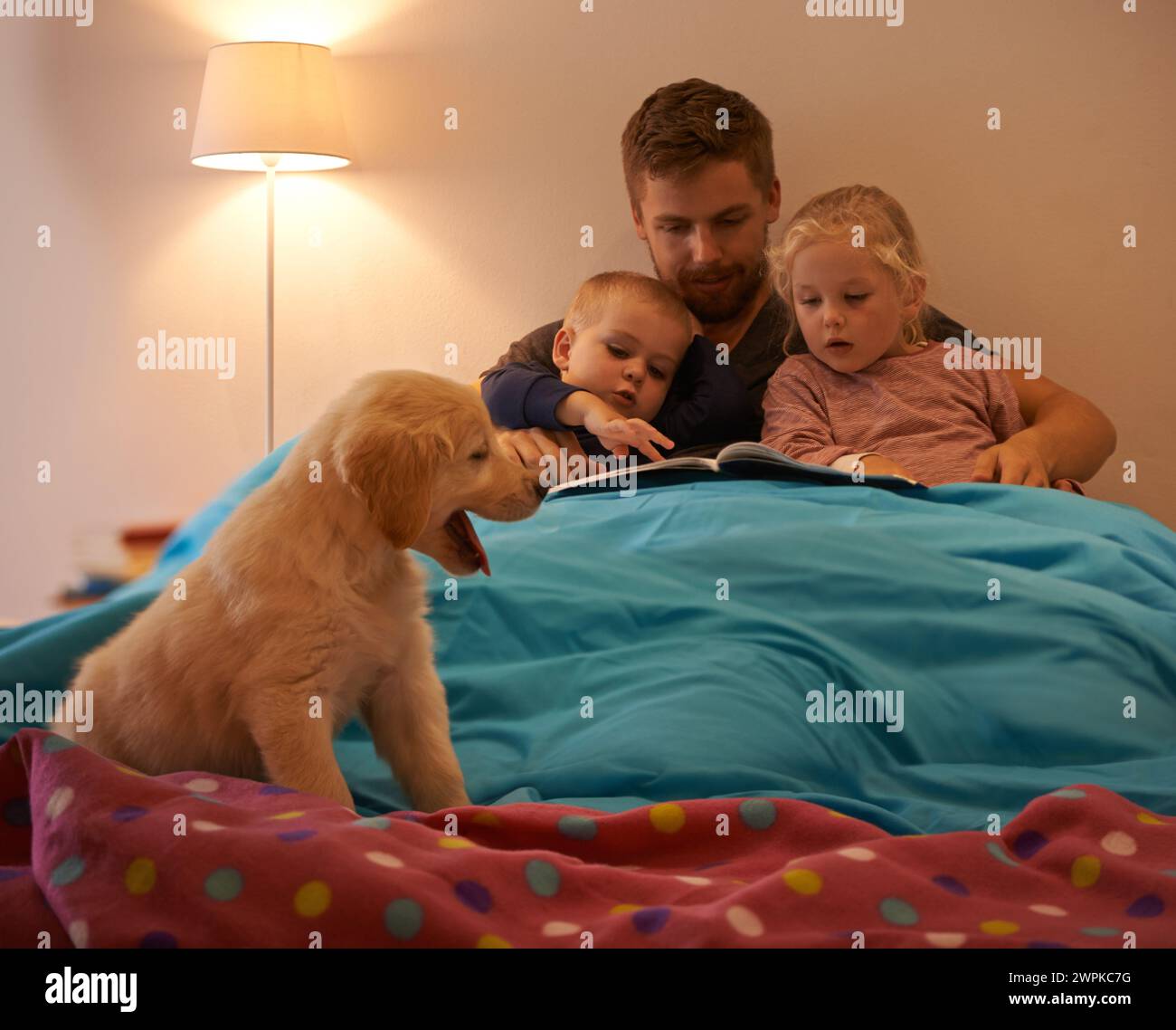 Hund, Kinder oder Vater lesen Bücher im Bett, um nachts zu lernen, zu lernen oder Geschichten zu erzählen. Familie, Entspannung oder Vater mit Kindern Geschwister für A Stockfoto