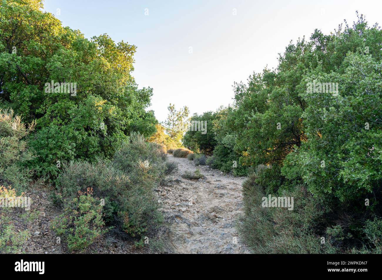 Bergweg, Potos, Thasos, Griechenland Stockfoto