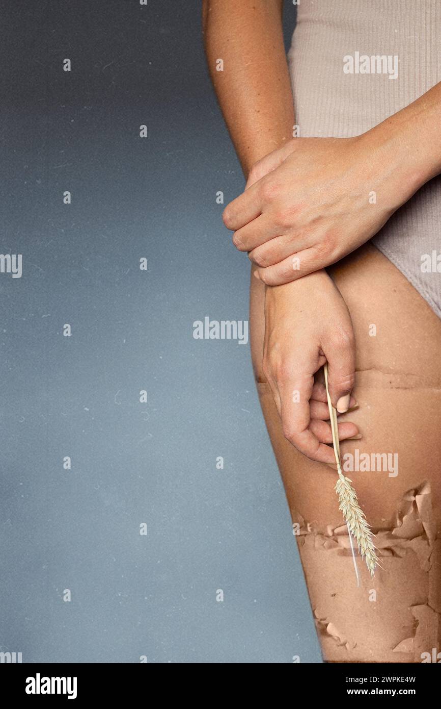 Weizenspitzen in der Hand einer Frau auf blauem Hintergrund Stockfoto