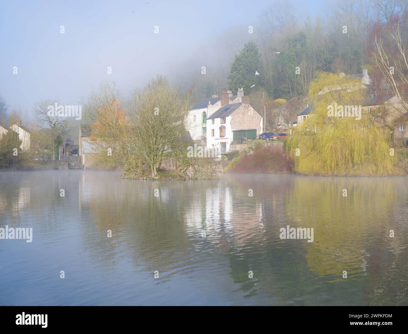 Neblige Morgensonne am Cromford Mühlenteich im Derbyshire Peak District, Großbritannien Stockfoto