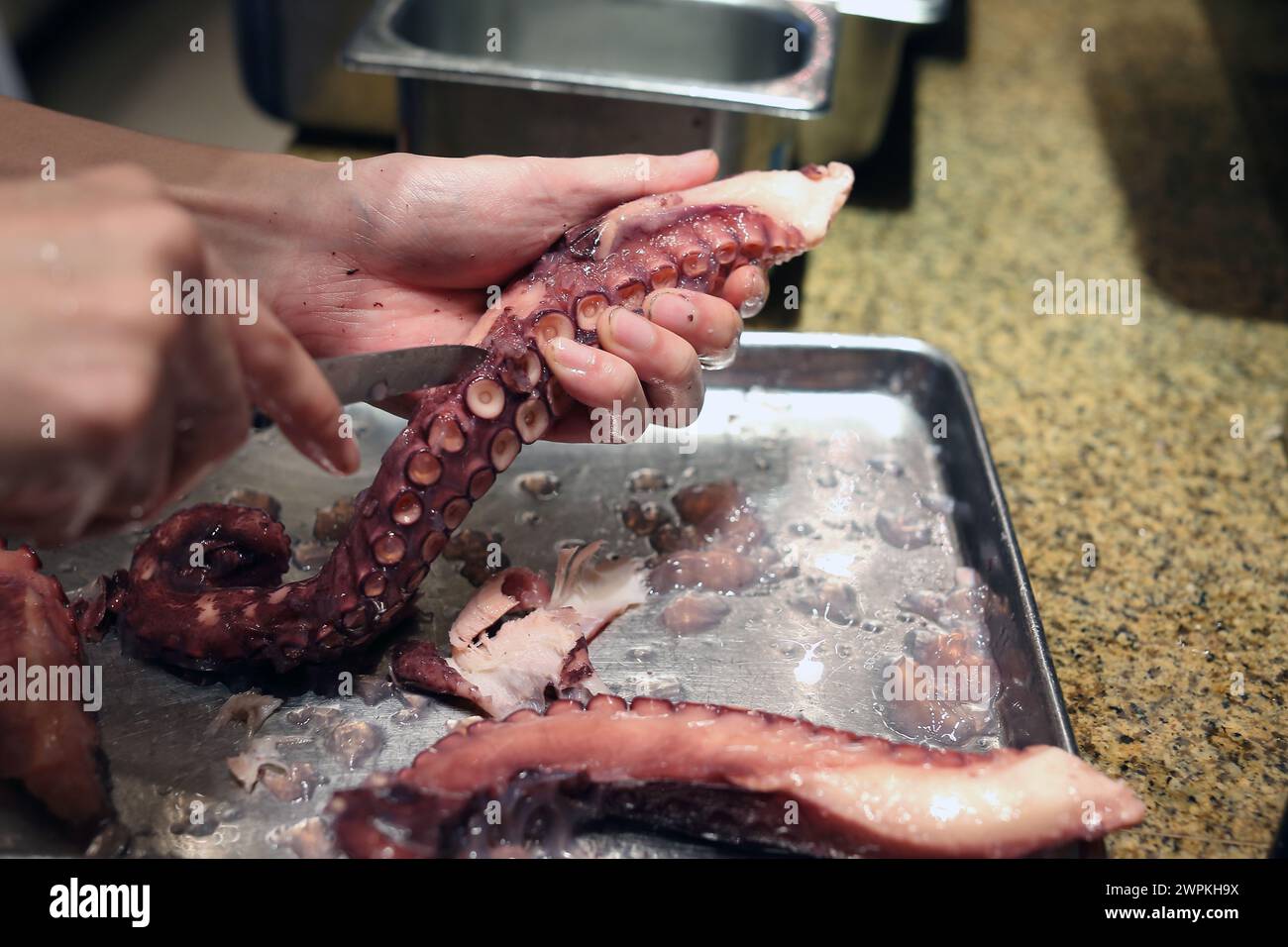 Der Koch bereitet Tintenfisch Tentakel zuma Restaurant, hongkong zu Stockfoto