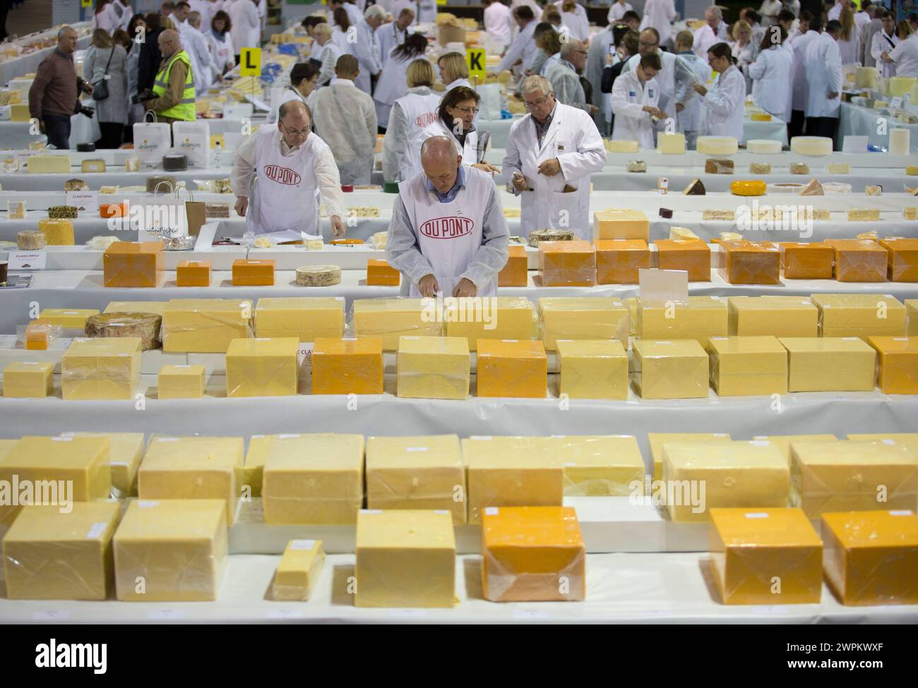 07/15 Richter suchen unter 4592 Einsendungen bei den International Cheese Awards, bei der Nantwich Show in Cheshire heute nach dem Sieger. Alle Geräte Stockfoto