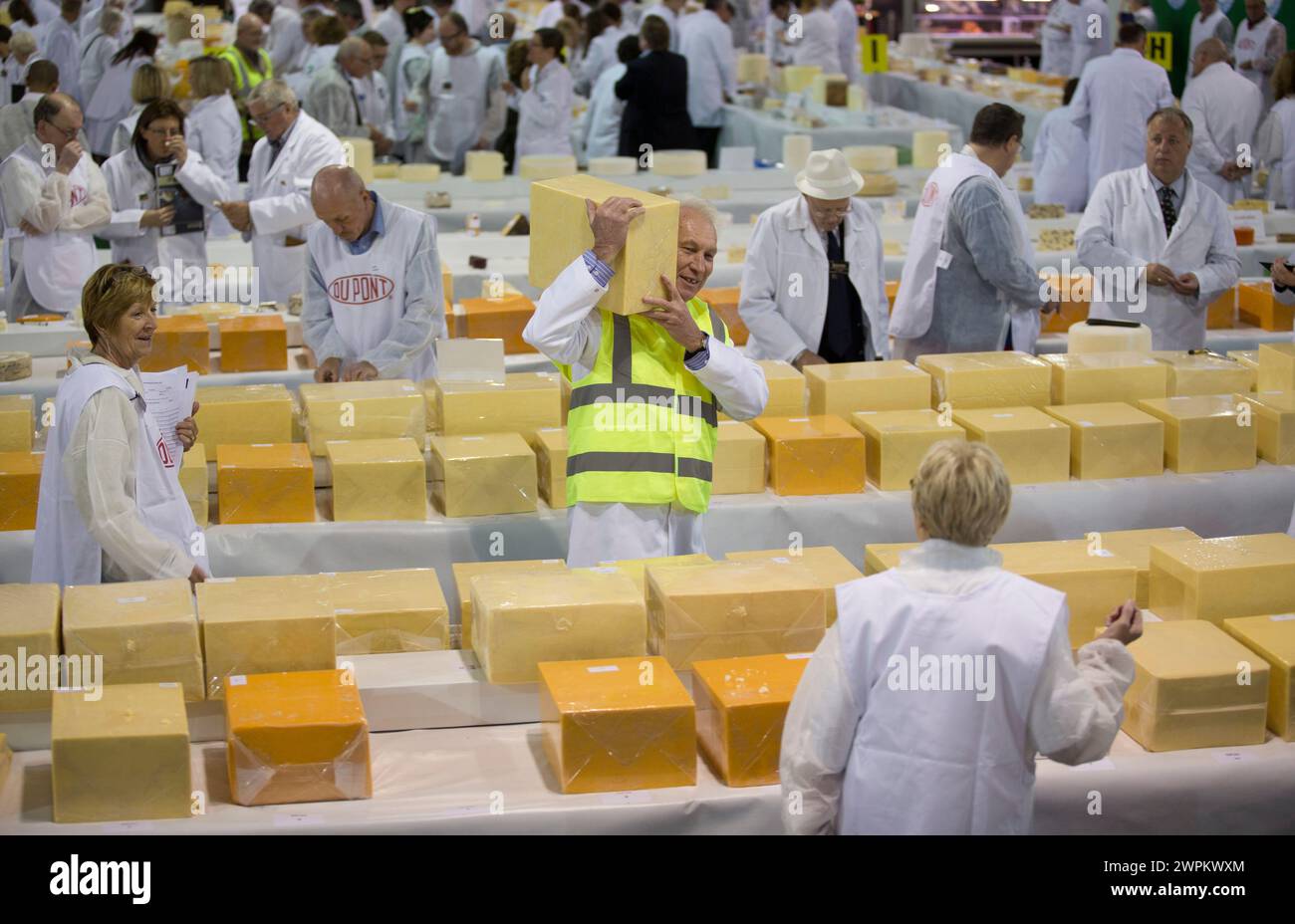 07/15 Richter suchen unter 4592 Einsendungen bei den International Cheese Awards, bei der Nantwich Show in Cheshire heute nach dem Sieger. Alle Geräte Stockfoto