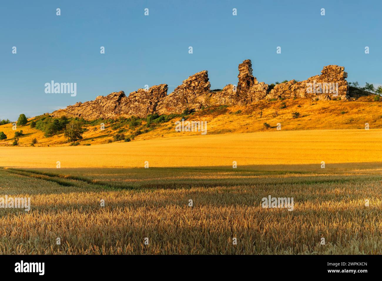 Teufelsmauer Felsformation, Weddersleben, Thale, Harz, Sachsen-Anhalt, Deutschland, Europa Stockfoto