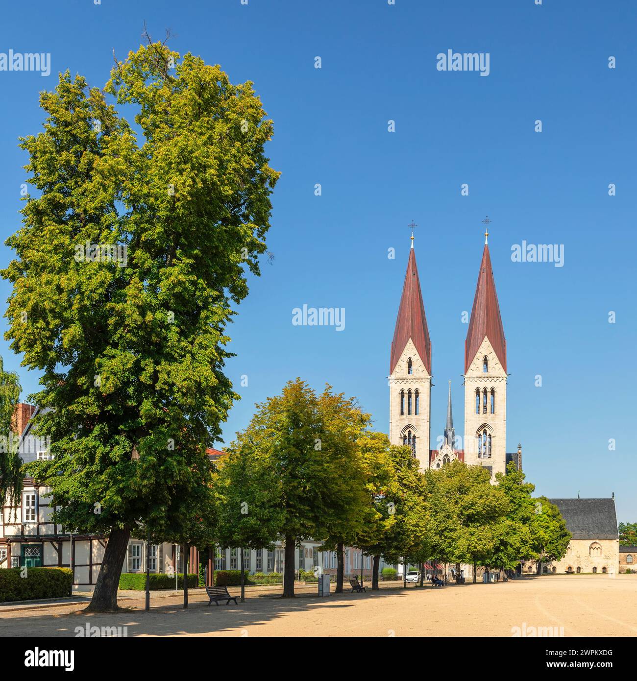 Kathedralenplatz mit Kathedrale St. Stephanus and Sixtus, Halberstadt, Harz, Sachsen-Anhalt, Deutschland, Europa Stockfoto