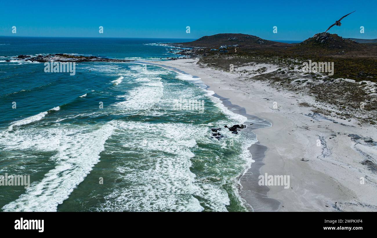 Aus der Luft eines weißen Sandstrandes, West Coast National Park, Western Cape Province, Südafrika, Afrika Stockfoto