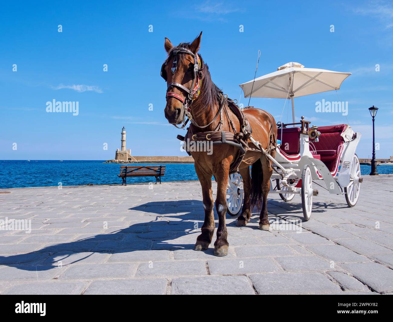 Pferdekutsche am Ufer, Stadt Chania, Kreta, griechische Inseln, Griechenland, Europa Stockfoto