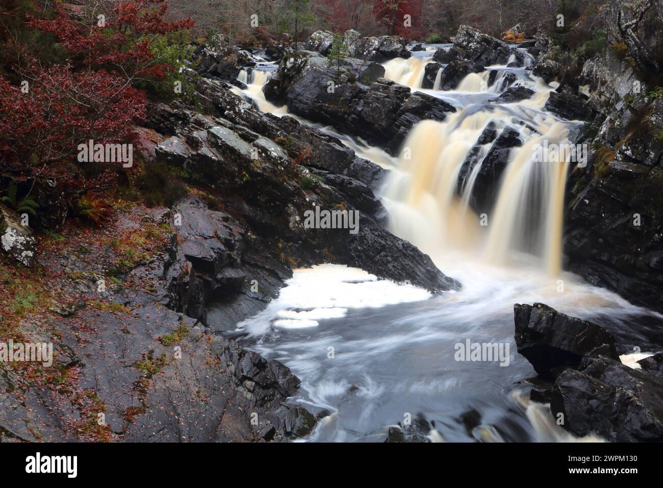 Rogie Falls, Ross-shire, Highlands, Schottland, Vereinigtes Königreich, Europa Stockfoto