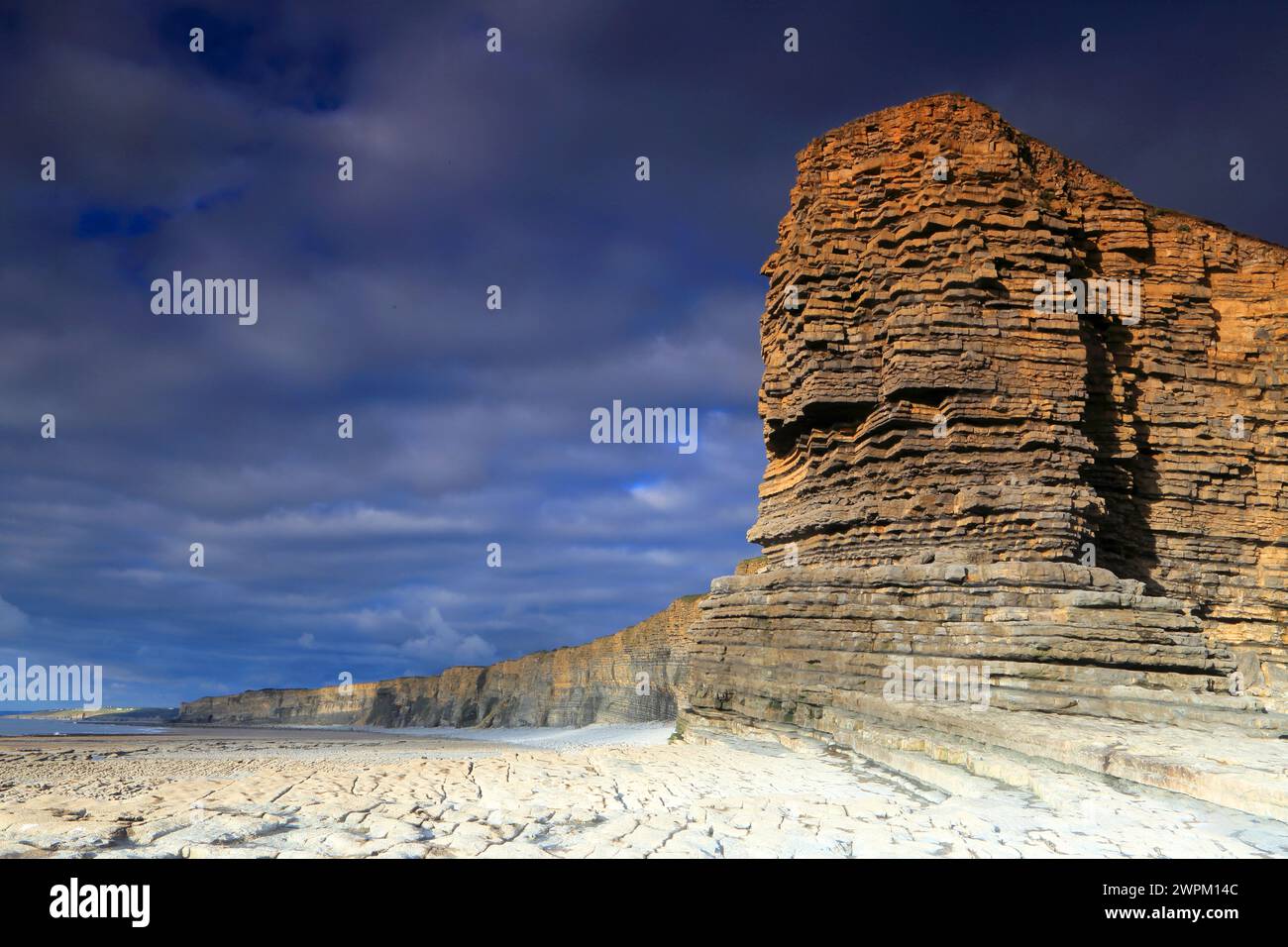 Klippen am Nash Point, Glamorgan Heritage Coast, Südwales, Großbritannien, Europa Stockfoto