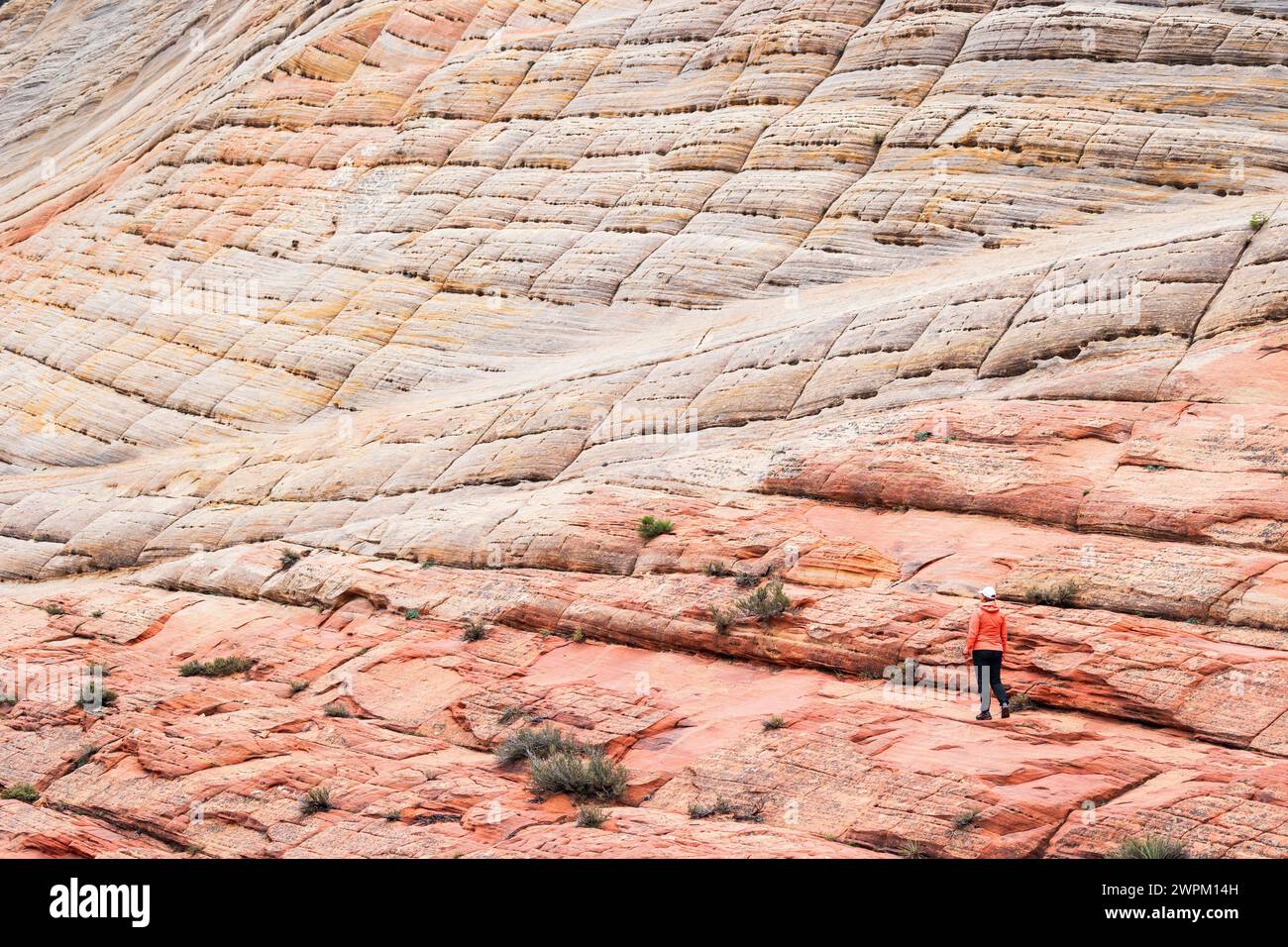 Ein Mädchen, das die wunderschönen Felsformationen im Zion-Nationalpark an einem Sommertag in Utah, USA, Nordamerika bewundert Stockfoto