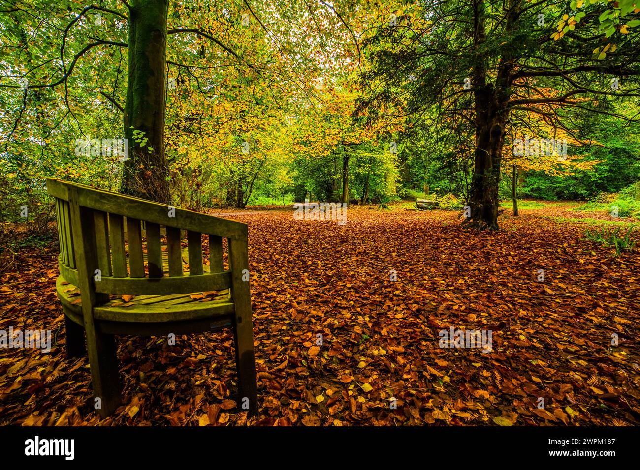 Herbstfarben von Conishead Priory, Ulverston, Furness Peninsula, Cumbrian Coast, Cumbria, England, Vereinigtes Königreich, Europa Stockfoto