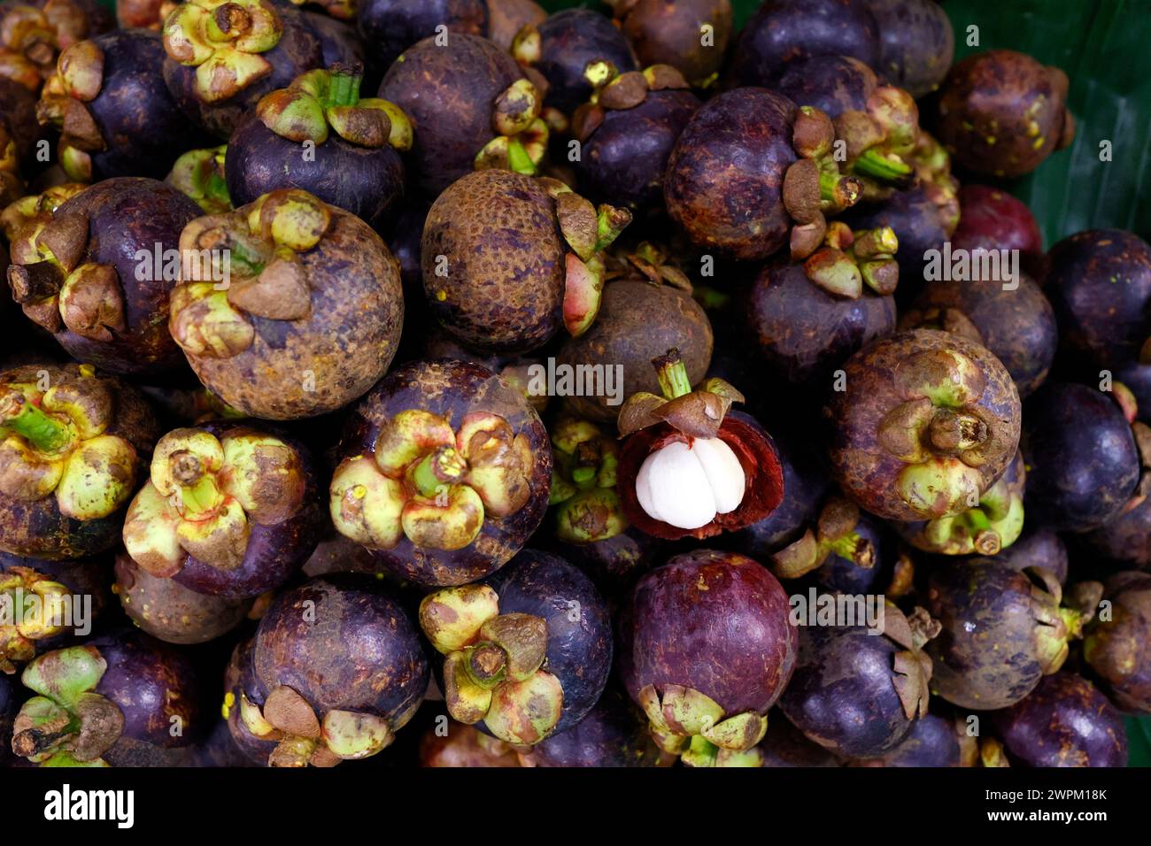 Mangostan zu verkaufen, Psar Thmei Central Market, Phnom Penh, Kambodscha, Indochina, Südostasien, Asien Stockfoto