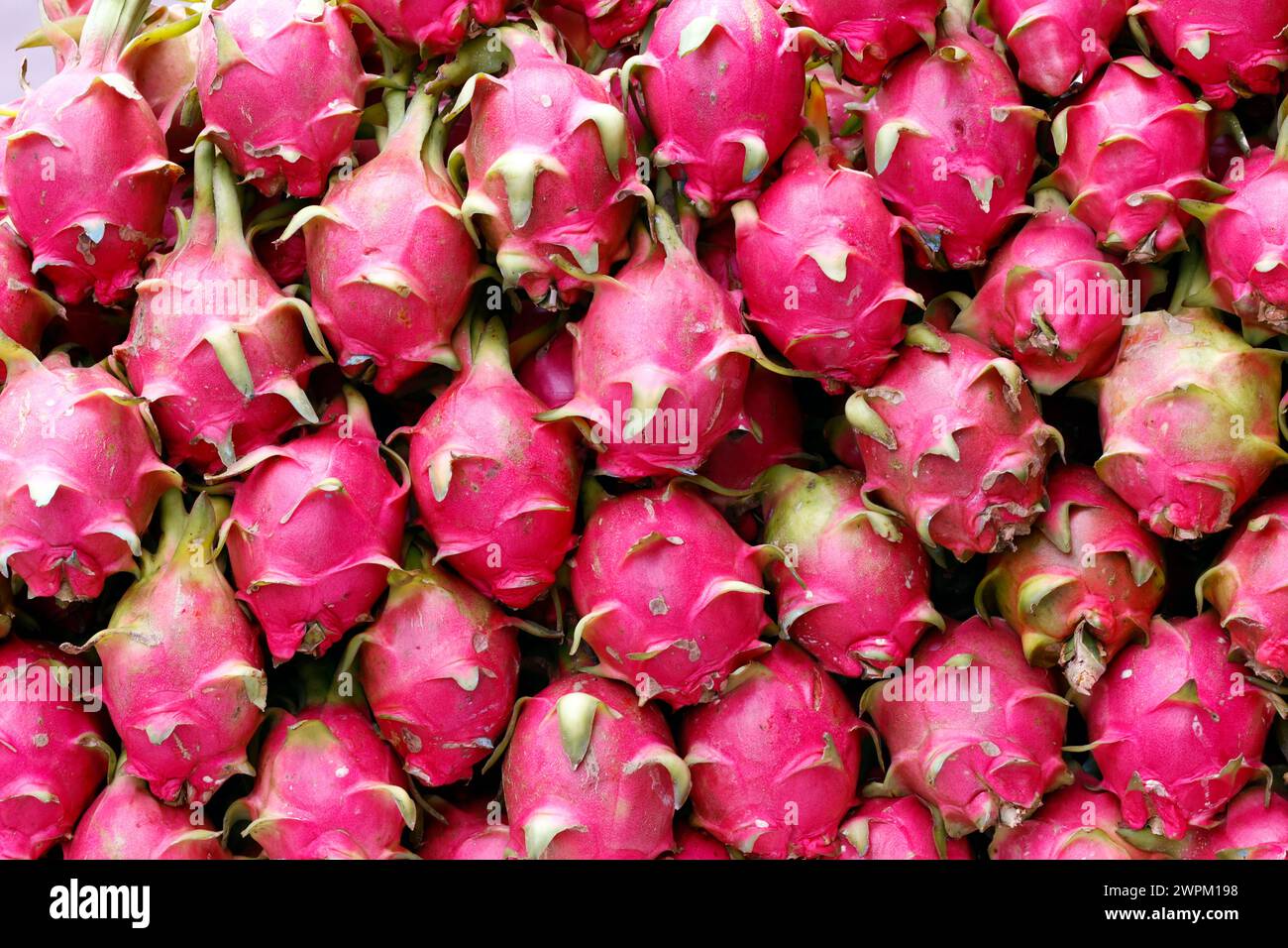 Drachenfrucht zum Verkauf auf dem lokalen Markt, Ho-Chi-Minh-Stadt, Vietnam, Indochina, Südostasien, Asien Stockfoto