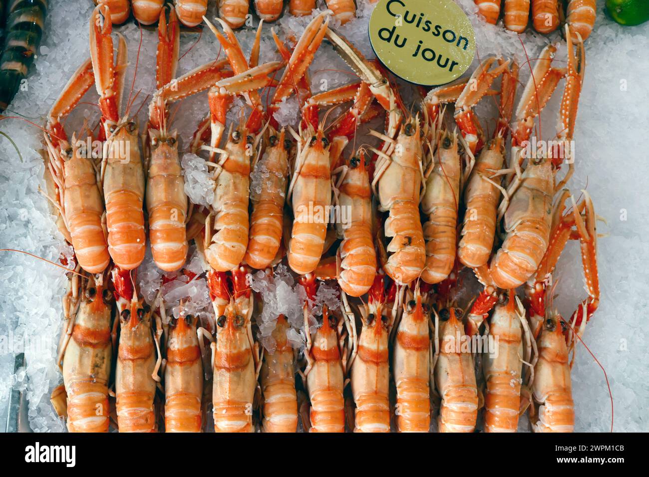 Frischer Lanoustine zum Verkauf auf dem traditionellen Fischmarkt in Trouville, Normandie, Frankreich, Europa Stockfoto
