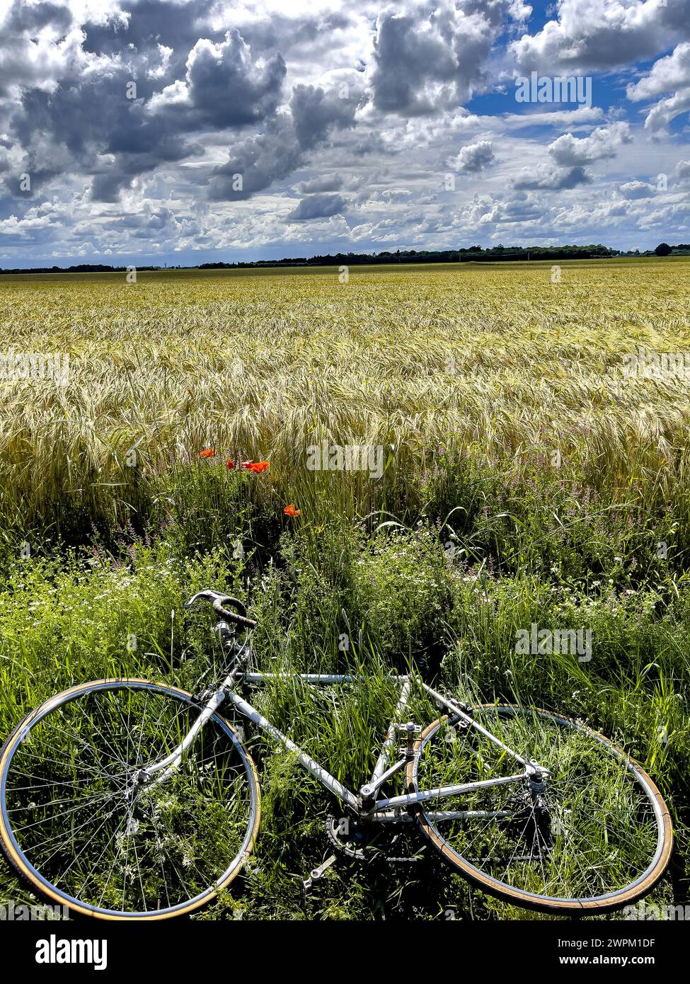 Fahrrad auf einem Feld unter bewölktem Himmel in Eure, Normandie, Frankreich, Europa Stockfoto